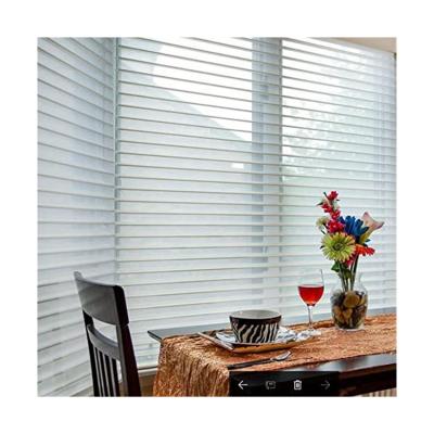 China Minimalist made in China motorized exterior blind shades nice window shangrila blind for home and office for sale