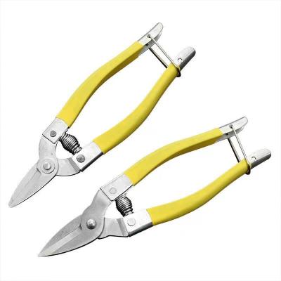 China Anti-Slip Grip Stainless steel sharp household flower and branch scissors Agricultural tools Orchard fruit and vegetable picking scissors for sale