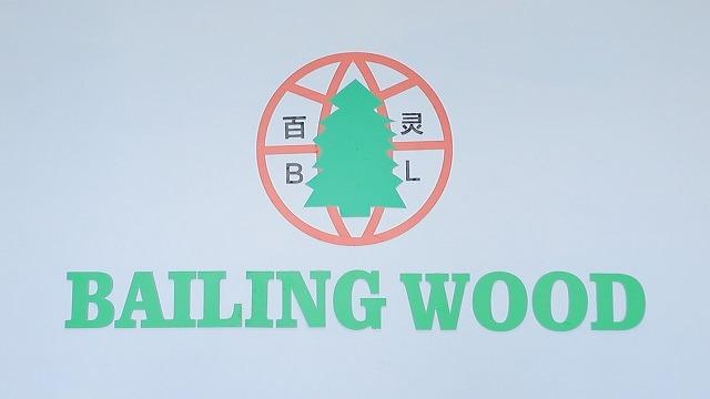 Verified China supplier - Shouguang Bailing Wood Co., Ltd.