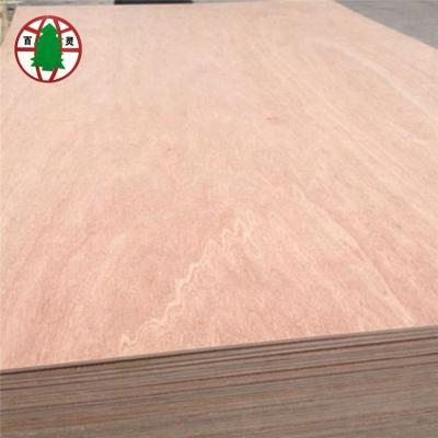 China Vietnam Bintangor Modern Plywood / Okume Laminated Board 2 To 30mm Thickness for sale