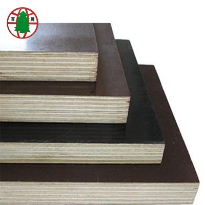 China Asian 12 16 18 Pane Plywood Construction Use Plywood Film Faced Plywood for sale