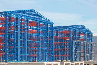 China Customized Rack Supported Warehouse Cold Storage ASRS System for sale