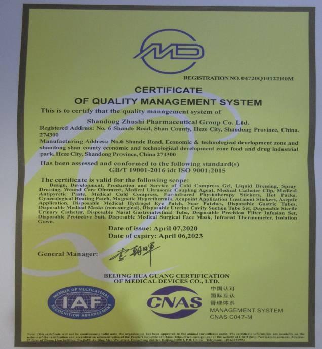 ISO9001 - Shandong Zhushi Pharmaceutical Group Co., Ltd.