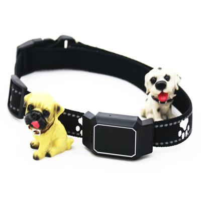 China Mini GPS 2G Waterproof IP67 Voice Recording Emergency Call Tracking Hot Selling Animal GPS Device Mini Mascotas Dog Tracker Tracer Tracking Scam Cat Cow Sheep Collare Collar Para Perro For Dogs for sale