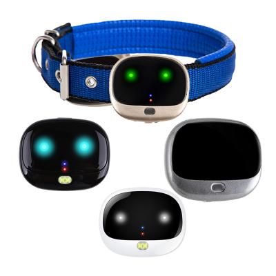 China Mini GPS 4G IP67 Waterproof Voice Recording Emergency Call Tracking Pet GPS Device Mini Mascotas Tracker Tracer OEM 4G GPS Dog Scam Cat Cow Sheep Collare Collar Para Perro Tracking For Dogs for sale