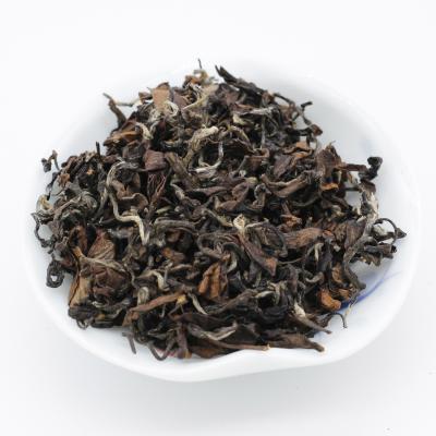 China Loose Tea SLO05-1 Taiwan Premium Tea Fermented Oriental Tea Porcelain Tea Taste Good Beauty B for sale