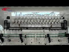 Automatic Anti Corrosio Toilet Bowl Cleaner WC Schiumattiva Candeggina Filling Packing Line