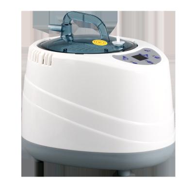 China Smart mini computer control panel steamer with remote control steam generator for small steam sauna room for sale