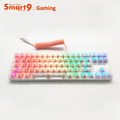 China Smart9 71Key RGB Mini Style Mechanical Keyboard Backlit Gaming Plastic Keyboard with Transparent Keycaps for sale