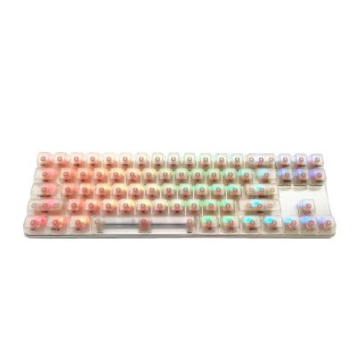 China High Quality Gaming Smart9 71key Plastic Mechanical Keyboard Light Custom Logo RGB Keyboard for sale