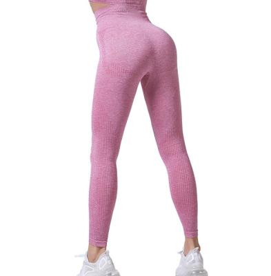 China Women Dry Fit Yoga Leggings High Waist Seamless Gym Yoga Pants Leggings Yoga Wear Fitness Leggings for sale