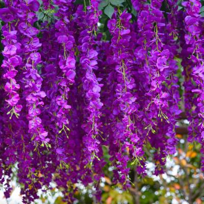 China romantic & Beautiful Long Colorful Romantic Wedding Party Home Decoration Artificial Hanging Wisteria Flower for sale