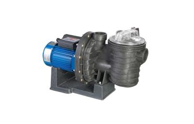 China High Speed Swimming Pool Water Pump for sale