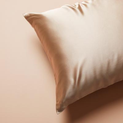 중국 Antistatic 100% Mulberry Silk Multi Color Wrap Pillow Case 19mm Pure Silk Pillowcase 판매용