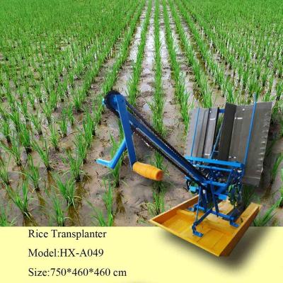 China paddy planter/rice planting machine/popular rice seeder for sale