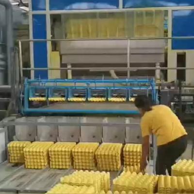 China YDF-1000 Waste Paper Bagasse Biodegradable Box Tray Molding Machine Straw Making Pulp Egg Carton for sale