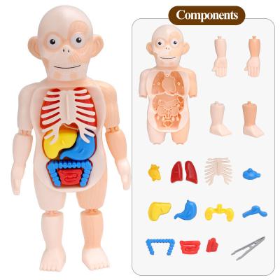 China Factory price wholesale best selling diy human organ toys education game with high quality 20*13*6.5 cm for sale