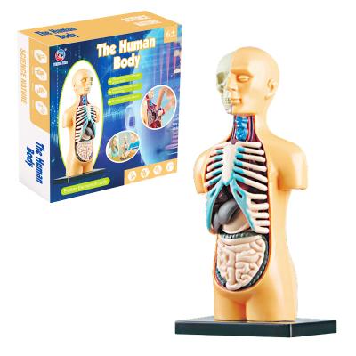 China Novelty Human Children's Toys DIY Anatomy Educational Games for School 25*25*5cm for sale