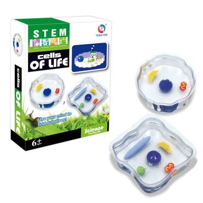 China Life science kit diy toys cell for kids educational learning set 22.5*16.5*6 cm for sale