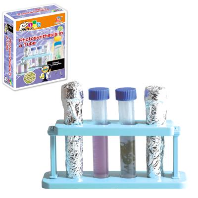 China Explore photosynthesis in a tube plant science toy kit for kids 22.5*16.5*6cm for sale