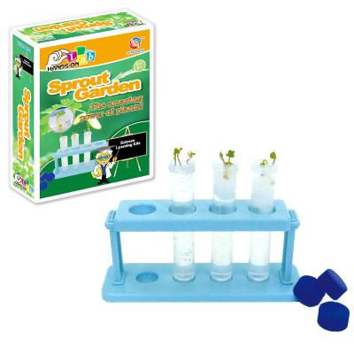 China Growing Sprout Garden Plant Kit Science Experiment Toy for Kids 22.5*16.5*6cm for sale