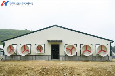 China Steel Structure Poultry Shed Agricultural Farm Broiler Chicken Farm Environment Control System for sale