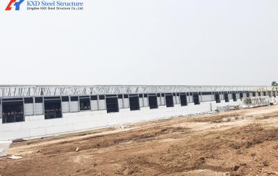 China Insulation Fireproof Piggery Shed   Poultry Farm Shed Building for sale