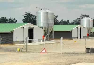 China Easy Install Prefabricated Steel Frame Houses Fully Automated Chicken Farming Equipment for sale