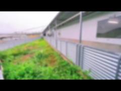 pig shed