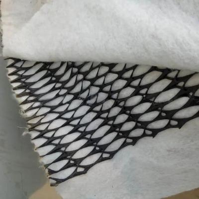 China Width 2m-4m Composite Geotextile Plastics Geonet Drainage Net for Project Solutions for sale