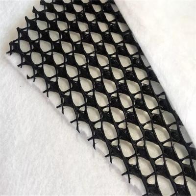 China Cross Categories Consolidation Composite Geotextile Plastics Geonet Drainage Net for Roads for sale