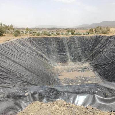 China HDPE Geomembrane Liner for Fish Farm Pond After-sale Service and Return/Replacement for sale