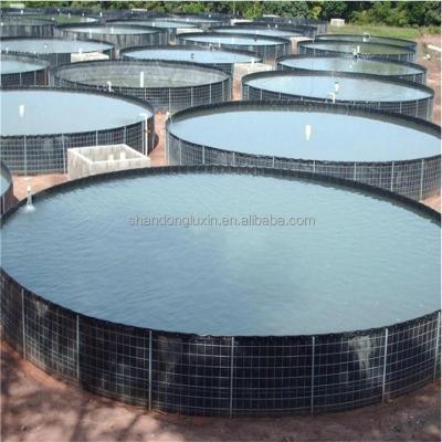 China Double Smooth Surface LDPE Geomembrane Lining Pond Liner for Superior Water Protection for sale