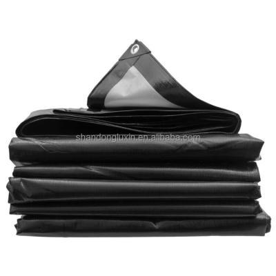 China Marine Canvas Fabric Poly Tarps Covers Plastic Tarpaulin Sheeting Rolls for Versatile for sale