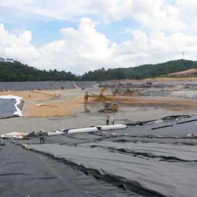 China 2mm PE Geomembrane Liner in Black or Customized Color for Project Solution Capability for sale