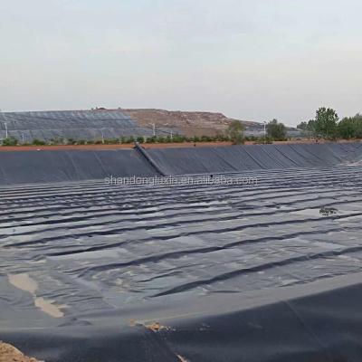 China Direct HDPE Geomembrane Waterproof Liner 2mm HDPE Geomembrane Liner for Fish Pond Dam for sale