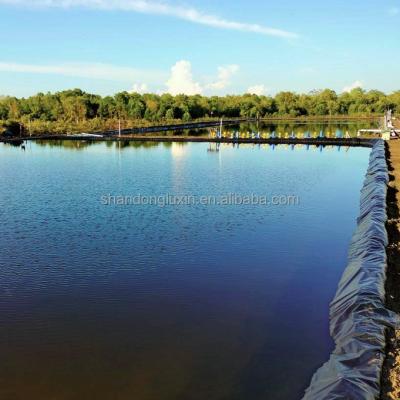 China Smooth Geomembrane Roughened Geomembrane Composite Geomembrane 1mm 2mm for Outdoor Ponds for sale