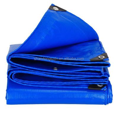 China LDPE Coating Plaid Blue Pe Tarpaulin Roll Hdpe HDPE Sheet for Truck Cargo Anti UV for sale