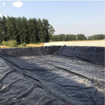 China Black High Density Polyethylene EVA Geomembrane for Agricultural Water Storage Tanks for sale