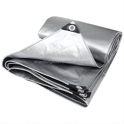 China Water Resistant HDPE Plastic Tarpaulin Sheet for Flexible Clear PE Cloth Tarps Fabric for sale