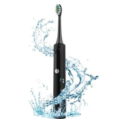 China Professional 2022 Sonic Most Popular Upgraded Wholesale Led Electric Toothbrush Private Label 750mAh for sale