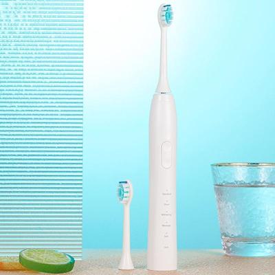 China Teeth Cleaning Teeth Whitening Sonic Electric Toothbrush Eco Friendly Changeable Electric Toothbrush for sale