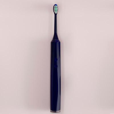 China Adult Ultra Sonic Toothbrush Electric Brush Teeth Ultrasonic IPX7 Waterproof Sonic Electric Toothbrush 1100mAh for sale