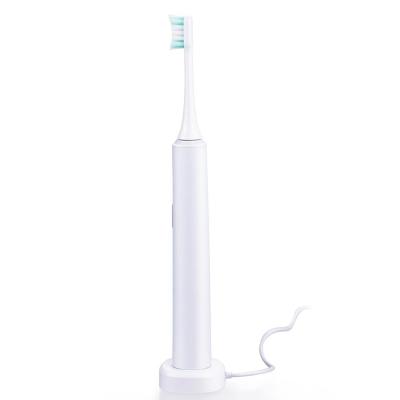 China Teeth Cleaning Free Sample Relish Mini Rechargeable Electric Toothbrush RLT2001 Waterproof IPX7 smart sonic electric toothbrush for sale