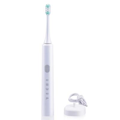 China Teeth Cleaning Wholesale Electric Toothbrush USB Rechargeable Adult Waterproof 5 Brushes Replacement Heads Electric Sonic Toothbrush for sale