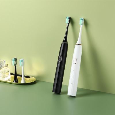 China Factory Waterproof Rechargeable Adult Electric Toothbrush with Replacement Heads 750mAh for sale