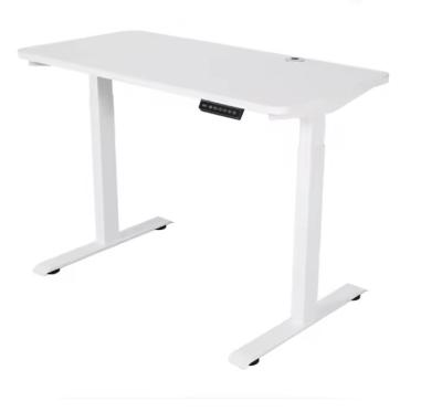 China Adjustable Height Electric Standing Desk for Morden Simple Office Building Efficiency for sale