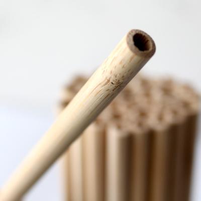 China Viable Wholesale Bamboo Straw Cocktail Straws Green Bamboo Straws for sale