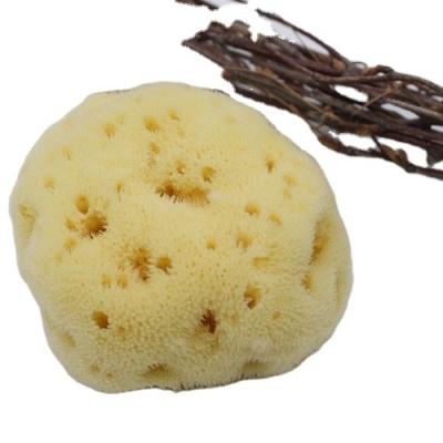 China All Natural Organic Honeycomb Exfoliating Natural Shower Body Scrubbers Sea Foam Sponge Bath Sponge for sale