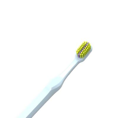 China Top Quality Widely Used 0.1mm Filament Manufacturers Cleaning Replaceable Toothbrush for sale